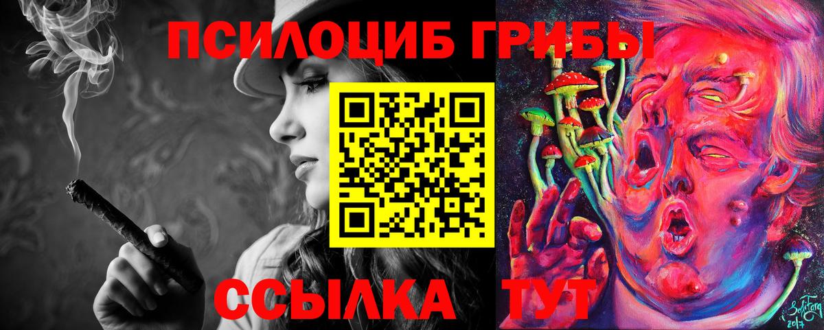 Галлюциногенные грибы GOLDEN TEACHER  Вход с VPN  Будённовск 
